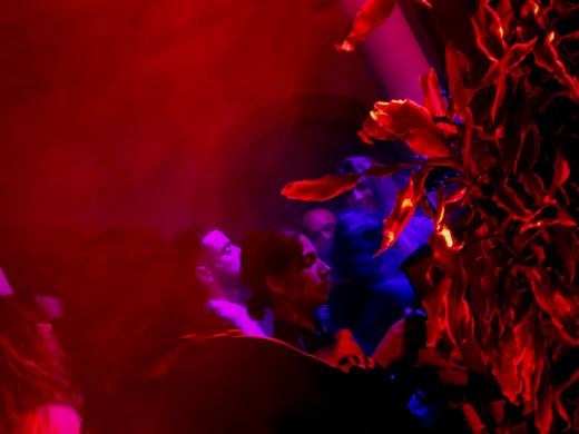 Lumen, fotografia 64