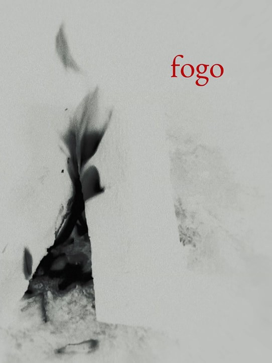 Cartaz de Fogo